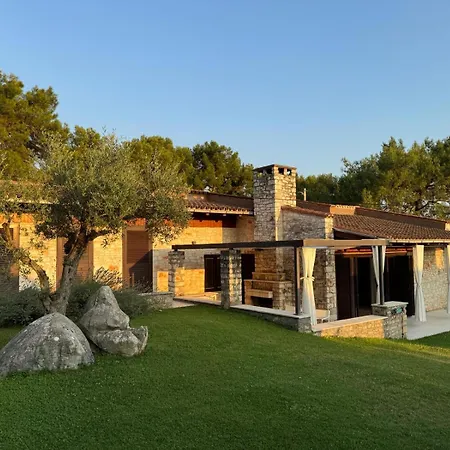 Olive Tree Garden *